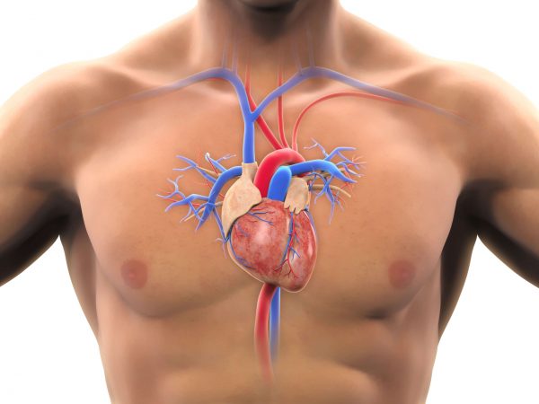 Coronary bypass surgery improves the blood flow to the heart and treats heart disease.