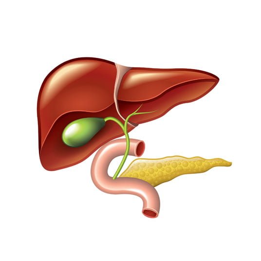 The gallbladder is located below the liver.
