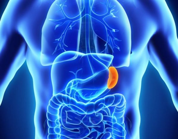 The spleen is located behind the stomach to the left side of the liver.