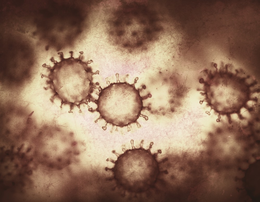 Tifo Virüsü | Salmonella typhimurium (S. typhi)