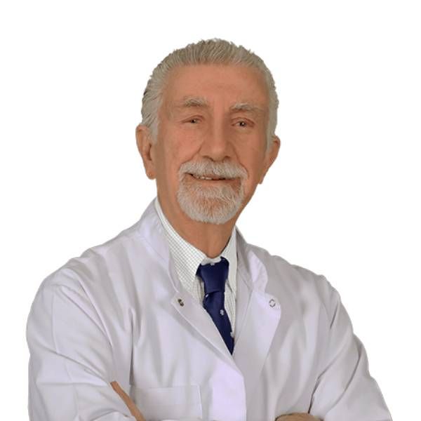 Prof. Dr. Ahmet Onat Arınç